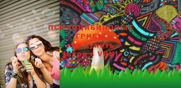 крисы Абаза