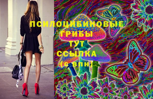 крисы Абаза
