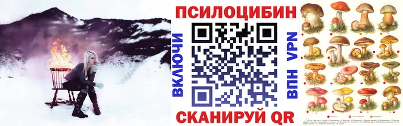 kraken   Оса  Галлюциногенные грибы Magic Shrooms 