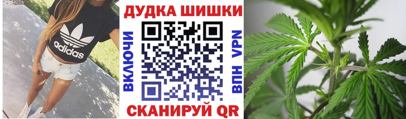 нарко площадка наркотические препараты  Оса  Бошки Шишки сатива 